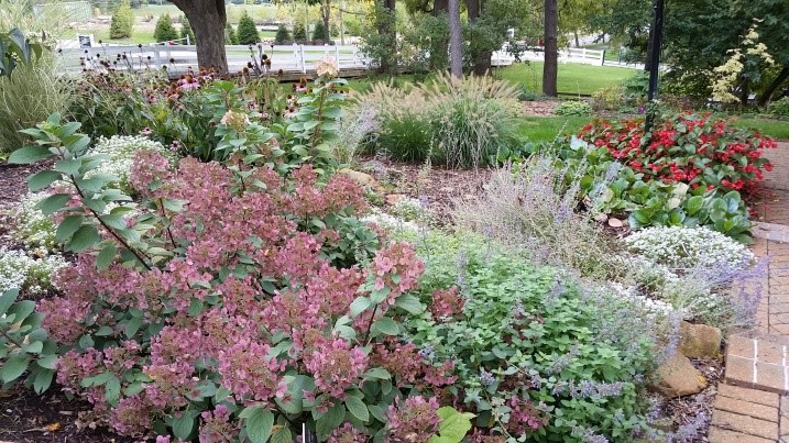 farmhouse garden